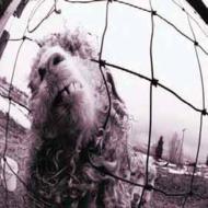 PEARL JAM パールジャム / Vs (Expanded Version) 輸入盤 【CD】