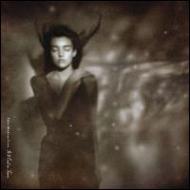 This Mortal Coil / It'll End In Tears 【LP】