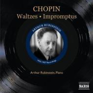 Chopin ショパン / Waltzes, Impromptus: Rubinstein (1953-1957) 輸入盤 【CD】