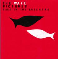 【送料無料】 Wave Pictures / Beer In The Breakers 輸入盤 【CD】