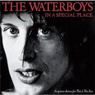 Waterboys ウォーターボーイズ / In A Special Place 輸入盤 【CD】