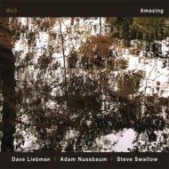 【送料無料】 We3 (Dave Liebman / Adam Nussbaum / Steve Swallow) / Amazing 輸入盤 【CD】