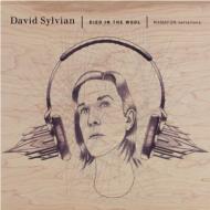 【送料無料】 David Sylvian デビッドシルビアン / Died In The Wool 輸入盤 【CD】