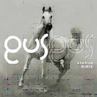 Gusgus / Arabian Horse 輸入盤 【CD】