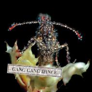 Gang Gang Dance / Eye Contact 【LP】