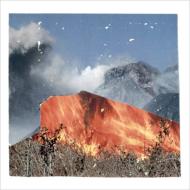 WU LYF ウーライフ / Go Tell Fire To The Mountain 【LP】