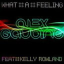 Alex Gaudino アレックスガウディーノ / What A Feeling 輸入盤 【CDS】