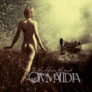 Ommatidia / In This Life, Or The Next 輸入盤 【CD】