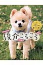 俊介ころころ ツイッター犬俊介のまいにち 【単行本】