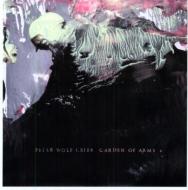 Peter Wolf Crier / Garden Of Arms 【LP】