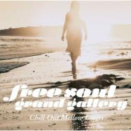 【送料無料】 Free Soul Grand Gallery 〜Chill-Out Mellow Lovers 【CD】