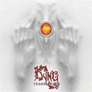 【送料無料】 Kyng / Trampled Sun 輸入盤 【CD】