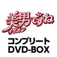 【送料無料】 美男ですね　コンプリートDVD-BOX 【DVD】