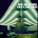 Noel Gallagher's High Flying Birds / Noel Gallagher's High Flying Birds 【LP】