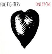 Foo Fighters フーファイターズ / One By One 【LP】