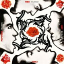 Red Hot Chili Peppers レッドホットチリペッパーズ / Blood Sugar Sex Magik 【LP】
