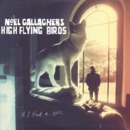 Noel Gallagher's High Flying Birds / If I Had A Gun 輸入盤 【CDS】