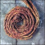 Nine Inch Nails ナインインチネイルズ / Further Down The Spiral(Us Ver.) 輸入盤 【CDS】