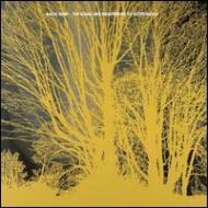 nada surf ナダサーフ / Stars Are Indifferent To Astronomy 【LP】
