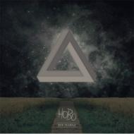 Hobo (Techno) / Iron Triangle 輸入盤 【CD】