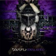 Soulfly ソウルフライ / Enslaved 【LP】