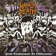 Napalm Death ナパームデス / From Enslavement To Obliteration 【LP】