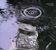 Rolf Julius / Raining 輸入盤 【CD】