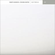 Robert Curgenven / Richard Chartier / Built Through 輸入盤 【CD】