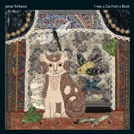 James Yorkston / I Was A Cat From A Book 【12in】