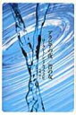 【送料無料】 アラビアの夜 / 昔の女 / ローラント・シンメルプフェニヒ 【本】 【送料無料】 アラビアの夜 / 昔の女 / ローラント・シンメルプフェニヒ 【本】