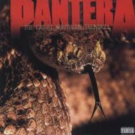 Pantera パンテラ / Great Southern Trendkill (180g) 【LP】
