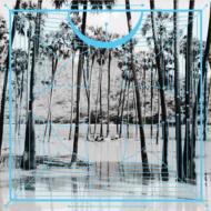 Four Tet フォーテット / Pink 【CD】