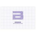  BIGBANG (Korea) ビッグバン / BIGBANG's ALIVE 2012 MAKING COLLECTION Bungee Price DVD