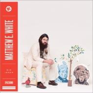 Matthew E White / Big Inner 【LP】