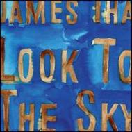 James Iha ジェイムスイハ / Look To The Sky 【LP】