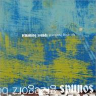 Grzegorz Bojanek / Remaining Sounds 輸入盤 【CD】