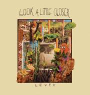 Levek / Look A Little Closer 【LP】