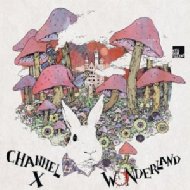 Channel X / Wonderland - Part 1 【12in】