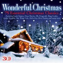 Wonderful Christmas 輸入盤 【CD】