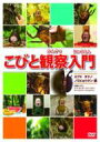こびと観察入門 カブト タケノ ノミビョウタン編 【DVD】