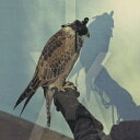 Iceage / You're Nothing 輸入盤 【CD】