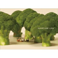     MINIATURE LIFE ~j`ACt   MINIATURE CALENDAR  { 