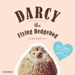 nlY~̃_[V[ DARCY@the@Flying@Hedgehog / ˖{đ y{z