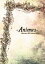 Misaruka / -Animus- 【DVD】