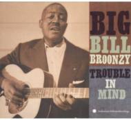 【送料無料】 Big Bill Broonzy / Trouble In Mind 輸入盤 【CD】