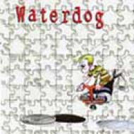 Waterdog / Waterdog 輸入盤 【CD】