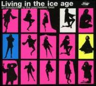 Living In The Ice Age - Introduction To The Psychedelic Beat 輸入盤 【CD】