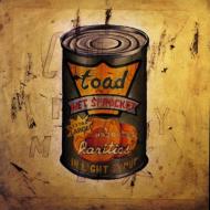 Toad The Wet Sprocket / In Light Syrup 輸入盤 【CD】