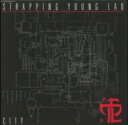 Strapping Young Lad ストラッピングヤングラッド / City 【LP】