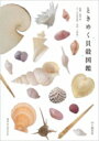 ときめく貝殻図鑑 最近「波の音」と暮らしはじめました。 ときめく図鑑 Book for Discovery / 寺本沙也加 【本】